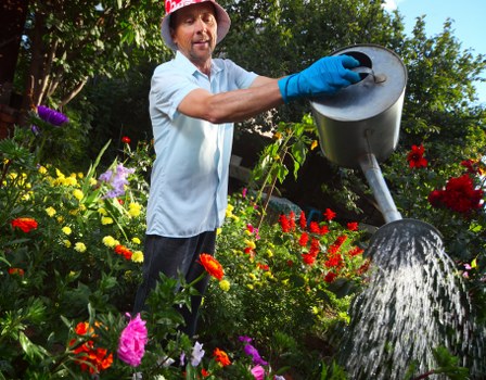 Lawn care specialists working on a garden in Shepherds Bush
